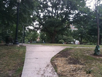 Kalorama Park (current path view) Kalorama Park (current path view)